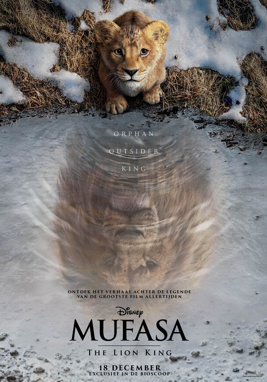 Mufasa: The Lion King (2D NL)